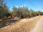Terreno in vendita a Fabrica di Roma VT