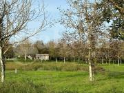 Terreno in vendita a Fabrica di Roma VT
