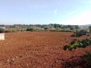 Terreno in vendita a Faggiano TA