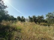 Terreno in vendita a Fara in Sabina RI