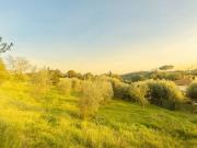 Terreno in vendita a Fara in Sabina RI