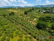 Terreno in vendita a Fara in Sabina RI