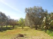 Terreno in vendita a Fasano BR