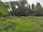 Terreno in vendita a Fauglia PI