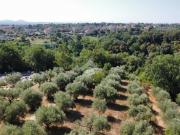Terreno in vendita a Fiano Romano RM