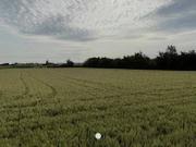 Terreno in vendita a Fiano Romano RM