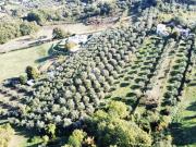 Terreno in vendita a Fiano Romano RM