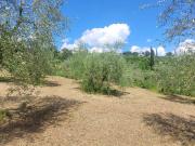 Terreno in vendita a Firenze FI