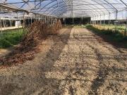 Terreno in vendita a Firenze FI