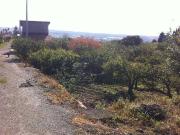 Terreno in vendita a Fiumefreddo di Sicilia CT