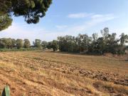 Terreno in vendita a Fiumicino RM