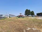 Terreno in vendita a Foggia FG