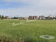 Terreno in vendita a Foggia FG