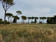 Terreno in vendita a Foggia FG