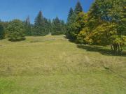 Terreno in vendita a Folgaria TN