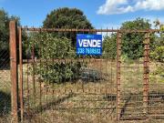 Terreno in vendita a Follonica GR