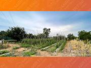 Terreno in vendita a Follonica GR