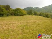 Terreno in vendita a Fondi LT