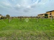 Terreno in vendita a Fontaniva PD