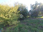 Terreno in vendita a Fonte Nuova RM