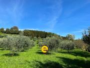 Terreno in vendita a Fonte TV