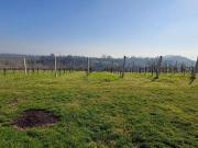 Terreno in vendita a Forlì FC