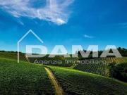 Terreno in vendita a Forlì FC