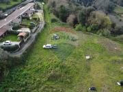 Terreno in vendita a Formello RM
