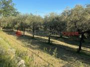 Terreno in vendita a Formia LT