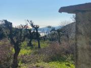 Terreno in vendita a Formia LT