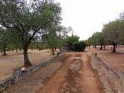 Terreno in vendita a Francavilla Fontana BR