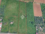 Terreno in vendita a Frascati RM