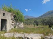 Terreno in vendita a Frasso Telesino BN