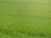 Terreno in vendita a Fregona TV