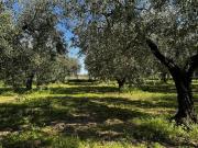 Terreno in vendita a Frisa CH