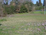 Terreno in vendita a Fucecchio FI