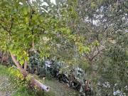 Terreno in vendita a Furci Siculo ME