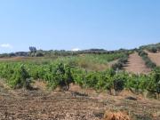 Terreno in vendita a Furnari ME