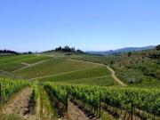 Terreno in vendita a Gaiole in Chianti SI