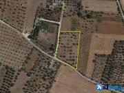 Terreno in vendita a Galatone