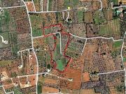 Terreno in vendita a Galatone LE