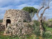Terreno in vendita a Galatone LE