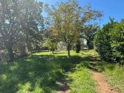 Terreno in vendita a Gallese VT