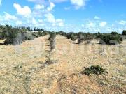 Terreno in vendita a Gallipoli LE