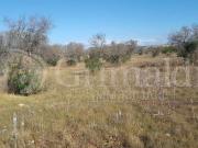 Terreno in vendita a Gallipoli LE