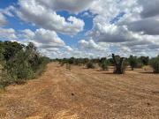 Terreno in vendita a Gallipoli LE