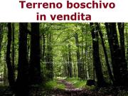 Terreno in vendita a Gambassi Terme FI
