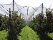 Terreno in vendita a Gargazzone BZ