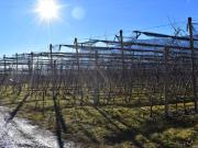 Terreno in vendita a Gargazzone BZ