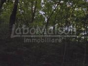 Terreno in vendita a Gemonio VA